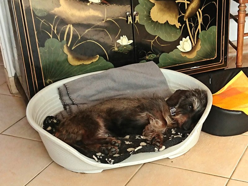 [Image: DSC-2537.jpg]