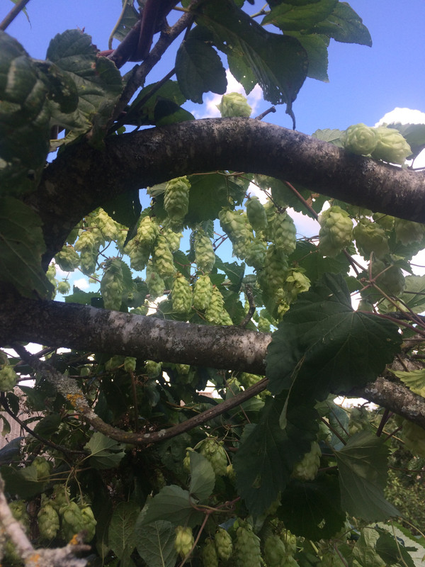 6E68D9CF-B207-4438-B0D9-D94107C2C524