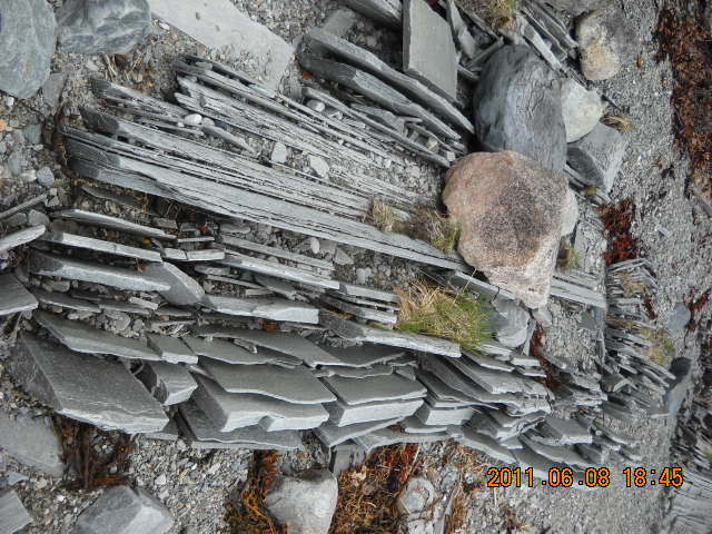 DSCN1345