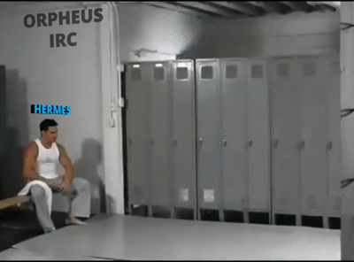 herrbertgym