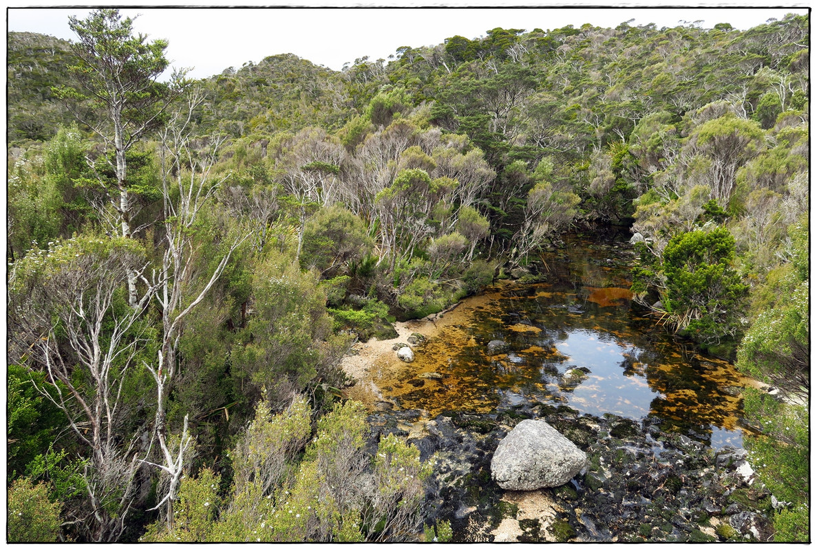 Kahurangi NP: Heaphy Track (Navidad 2020, III) - Escapadas y rutas por la Nueva Zelanda menos conocida (27)