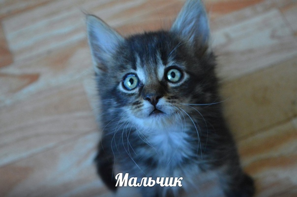 3BCA6F7E-3F9D-447B-B8D7-82B7AE63F458