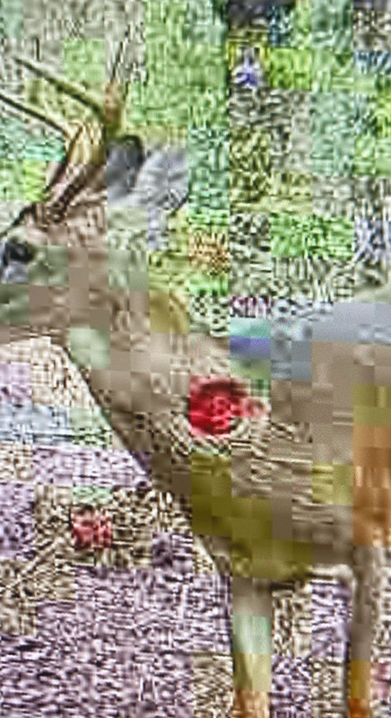 IMG_20241209_093440~2