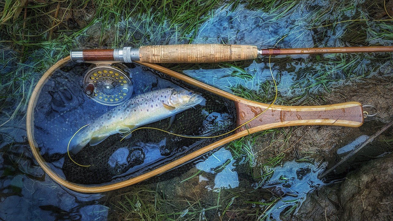 PXL_20231231_183338036-01