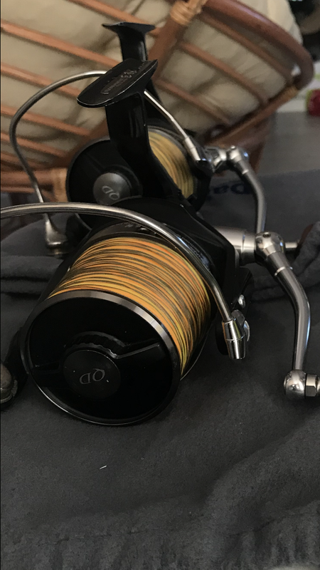 ECC01F30-59EB-405F-8E1B-AF06D4C873C8