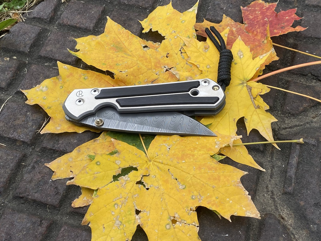 02593230-649C-47EC-82BE-39EF815B35E0