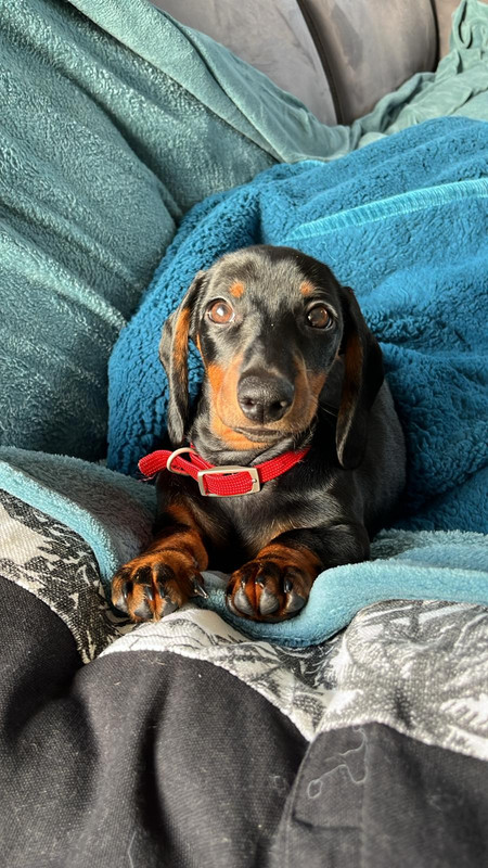 [Image: IMG-20241025-WA0007.jpg]