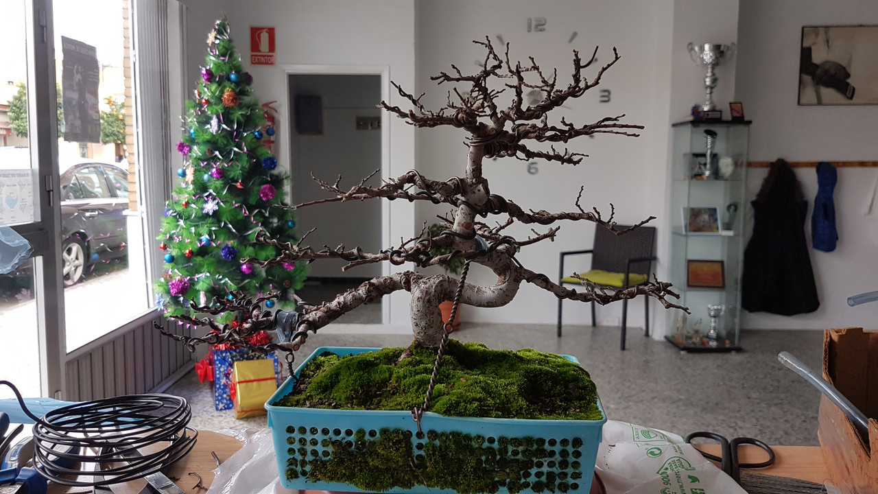 20191223_131659