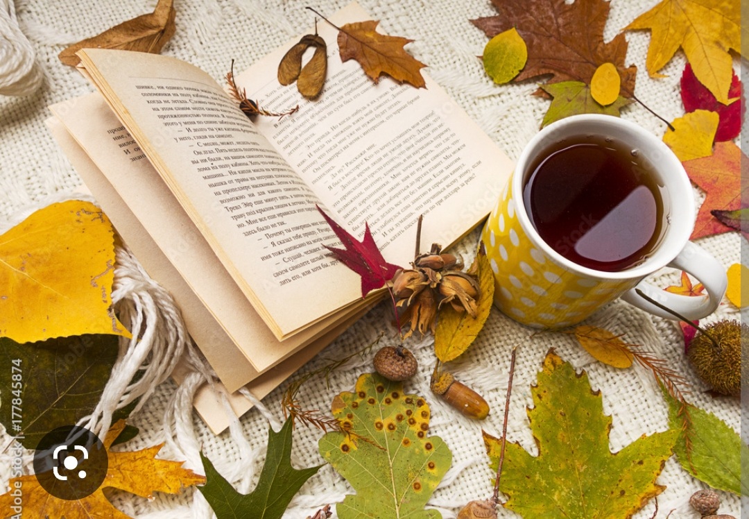 Screenshot_20221126-004354_Chrome