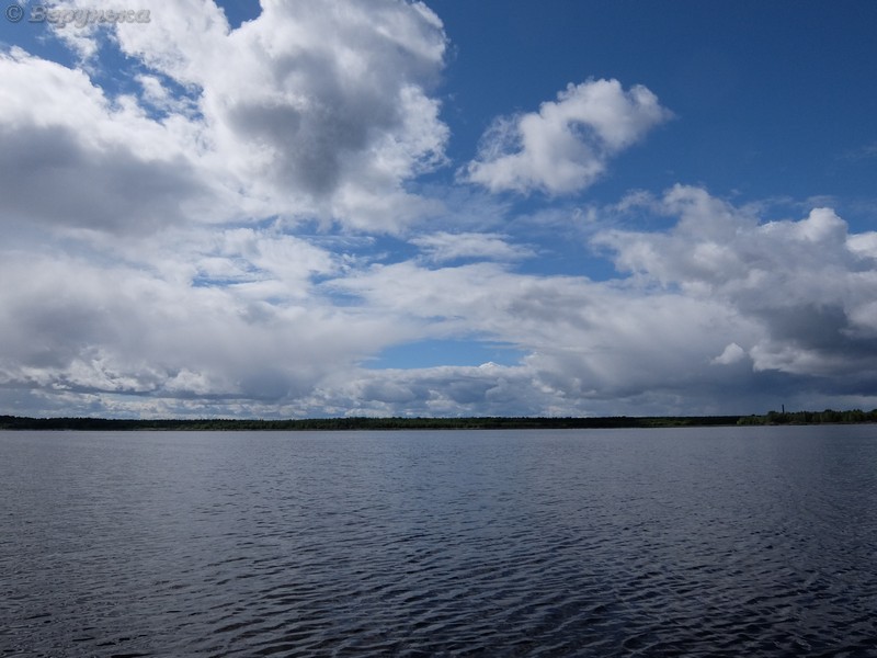 DSCF7242