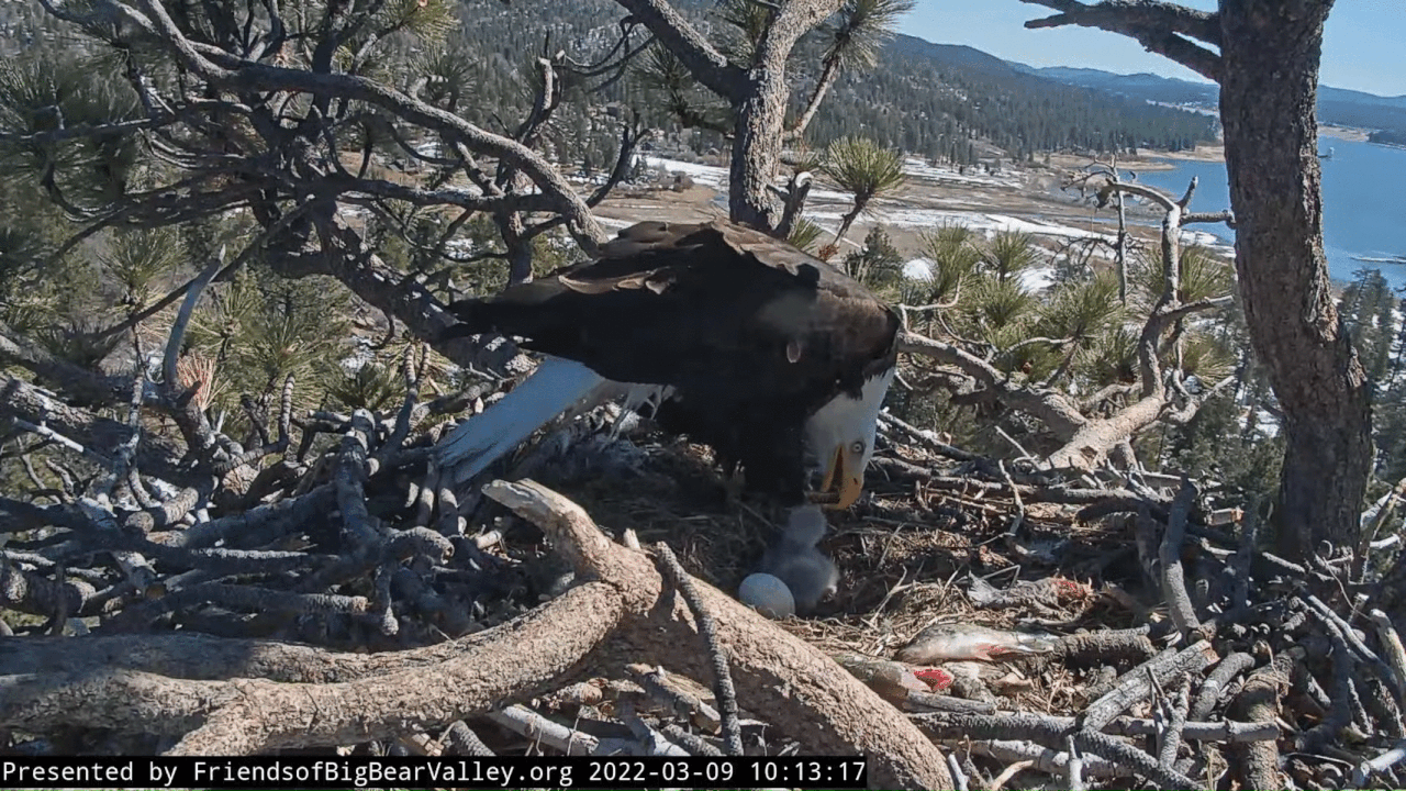 Webp.net-gifmaker (3)