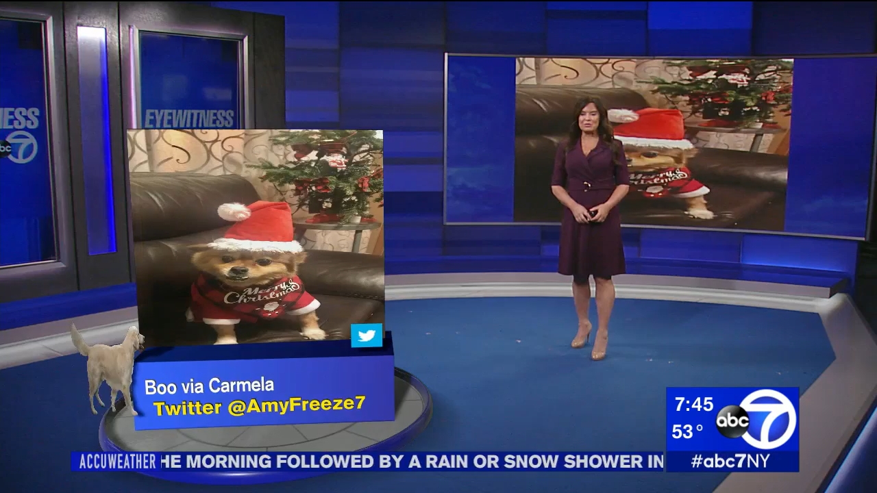 12.13 - 11.00.00 - Eyewitness News Sunday Morning..ts_snapshot_00.46.15.601