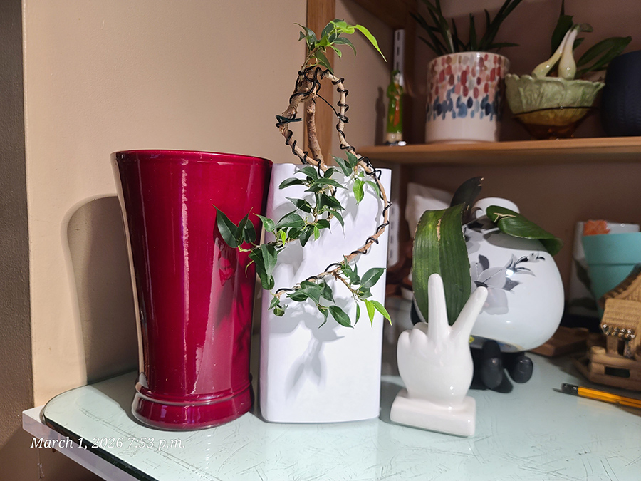 [Image: 20260301-195319.jpg]