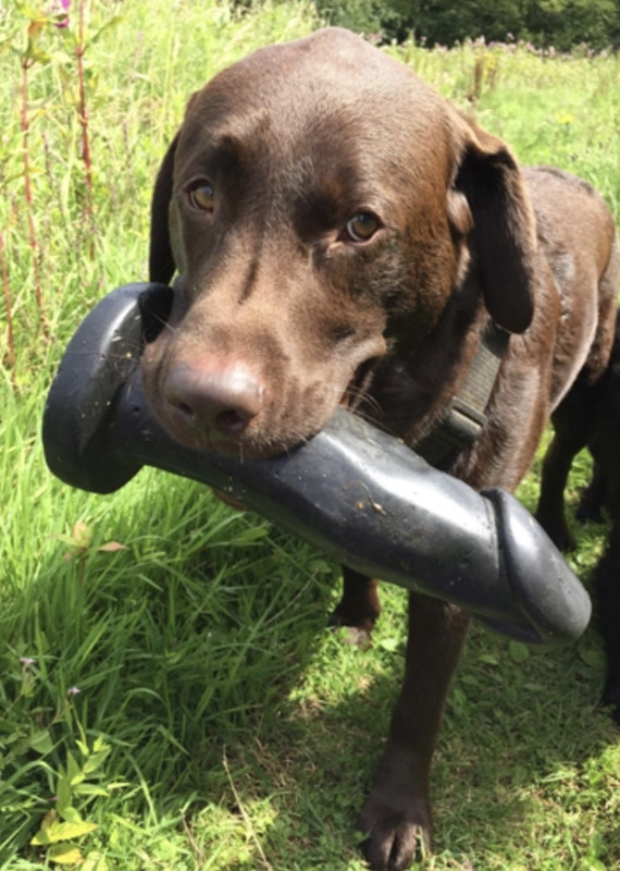 5D0A1709-72E0-45E8-BECB-7C3374650EDD