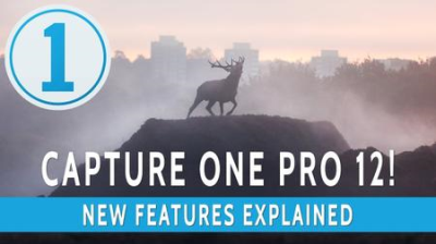 Capture One Pro 12.1.0.106 (x64) Multilingual