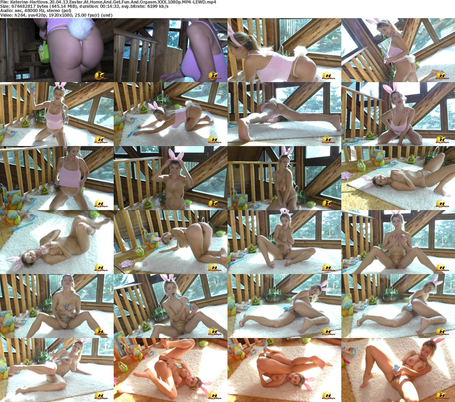 30052024234910screenshot