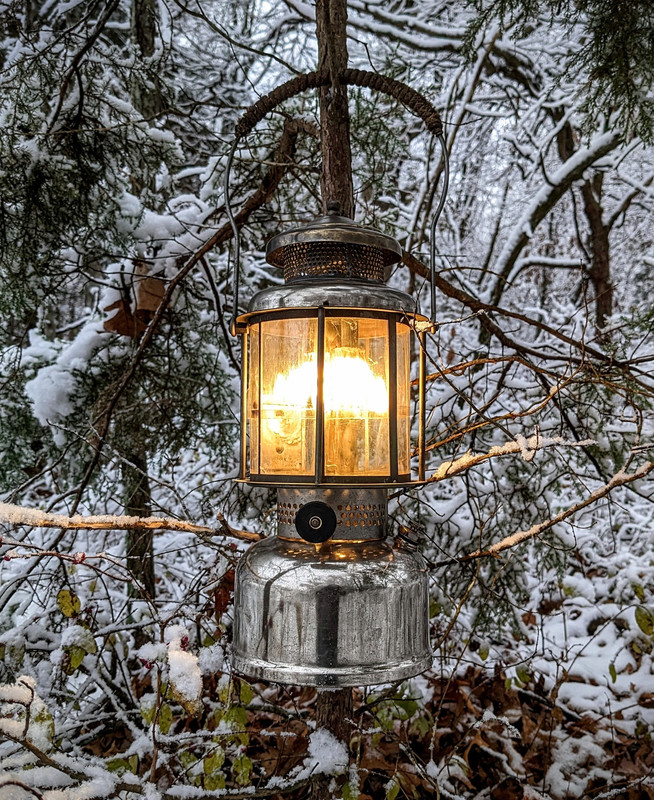 PXL_20221115_133850244.MP~4