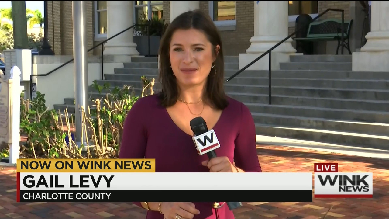 11.01 - 11.00.00 - WINK News @ 6 00AM Sunday..ts_snapshot_00.42.34.485