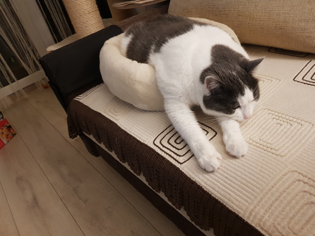 20190312-220652.jpg