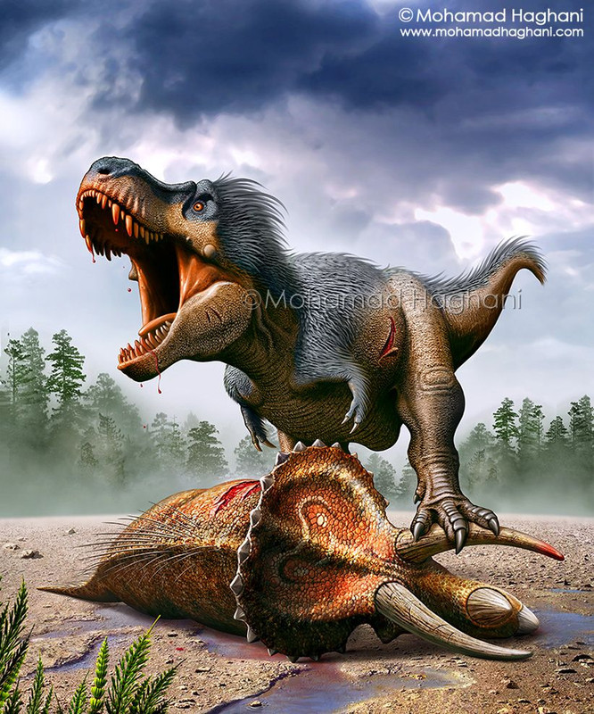 002af54f9c85f7bdfeaf782a010274bc