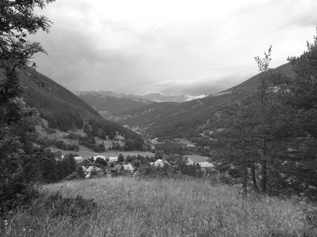 P1000704