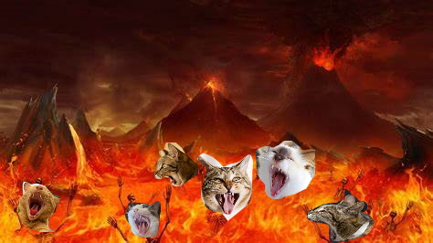 cats in HELL