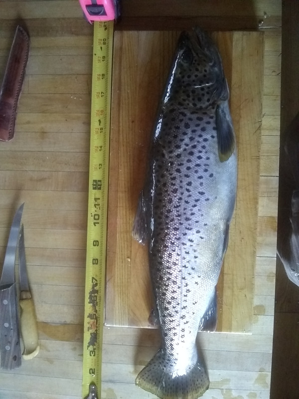 IMG_20210213_143839352