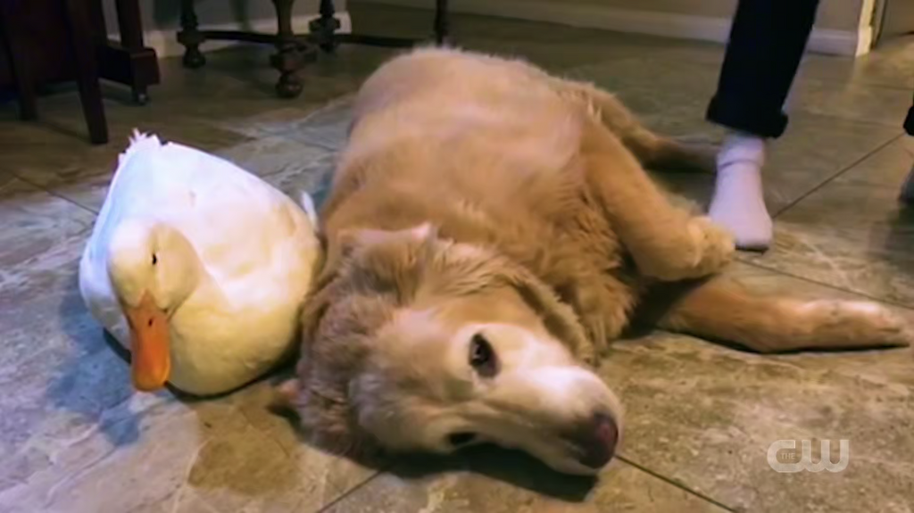 [Image: 76rfomiz33kv.png]