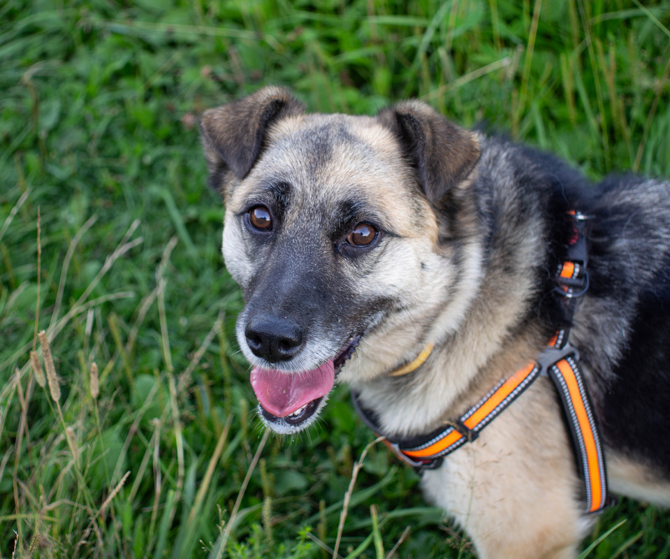 P7200012-Улучшено-Ум. шума