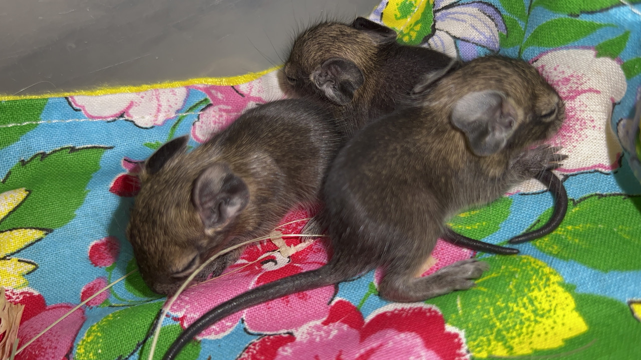 B091E29F-BB52-4EBD-8481-139DDDBA9D0D