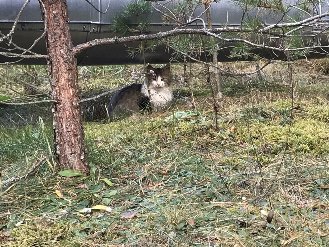 CD7C2122-0217-44EC-899F-9C29AEEB3577