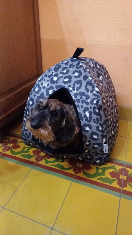 [Image: IMG-20240124-WA0017.jpg]