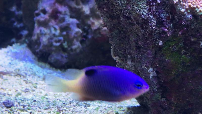 748AC1FD-203E-47DB-BB95-C4CCB9135330