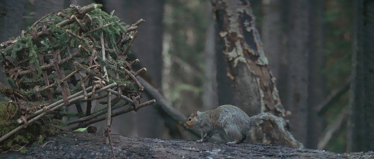 На грани 1997 BDRip 1080p.mkv_20231108_174359.776