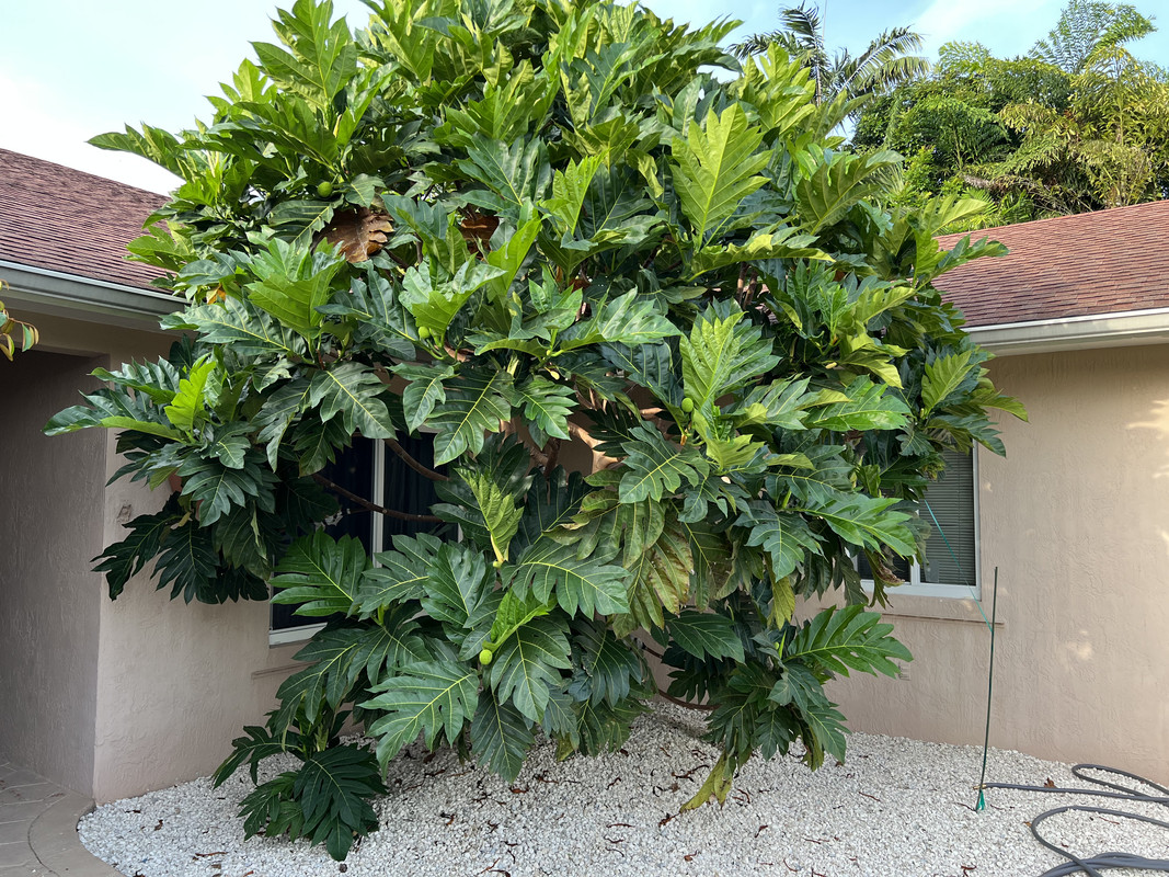 28BD7547-4314-40DE-BECF-232D0FA06890