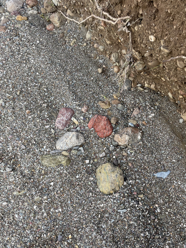 1069C763-F162-4A8E-ACF9-A798E591BAFF