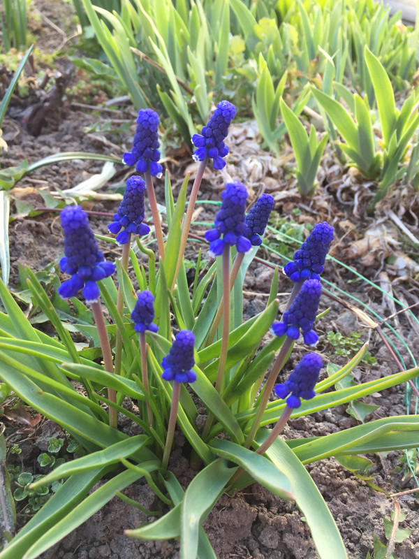 E04571BA-D16D-4A65-9C1D-2D9C417189D0