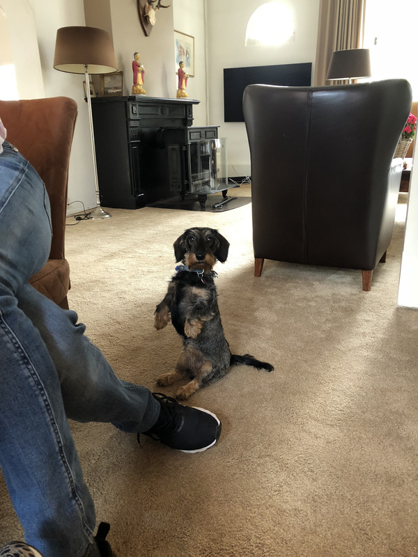 5FC8B3EC-7F6B-484E-921B-3F965BAE631C