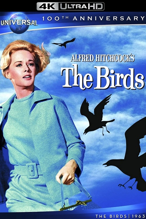 Ptaki / The Birds (1963) MULTi.HDR 2160p.BDRemux.DTS-HD MA.AC3.2.0-ChrisVPS / LEKTOR i NAPISY