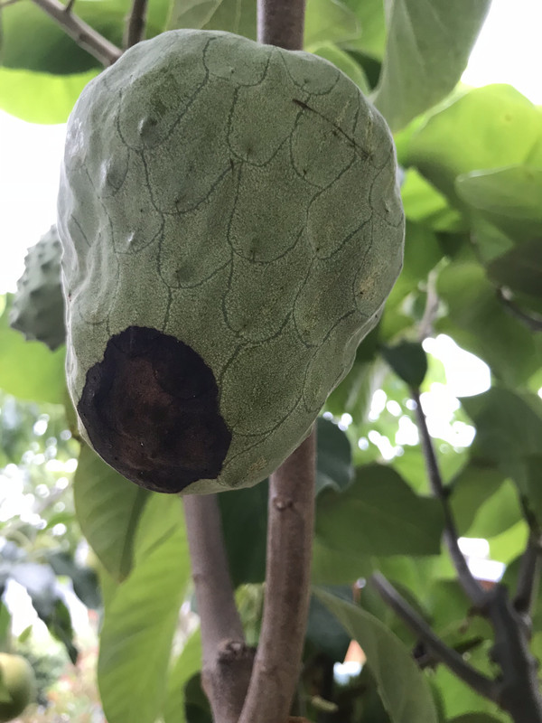 FE9EB83B-2456-4C76-9157-D81D06ECA56F