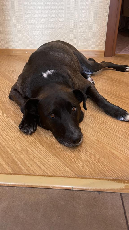 A6C30F7A-DADF-4339-B752-5220A8F9C0FD