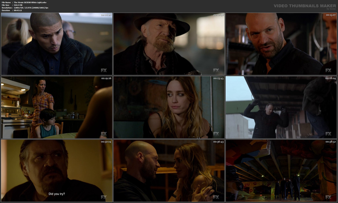 The Strain S03E08 White Light.mkv