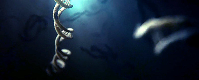 Prometheus