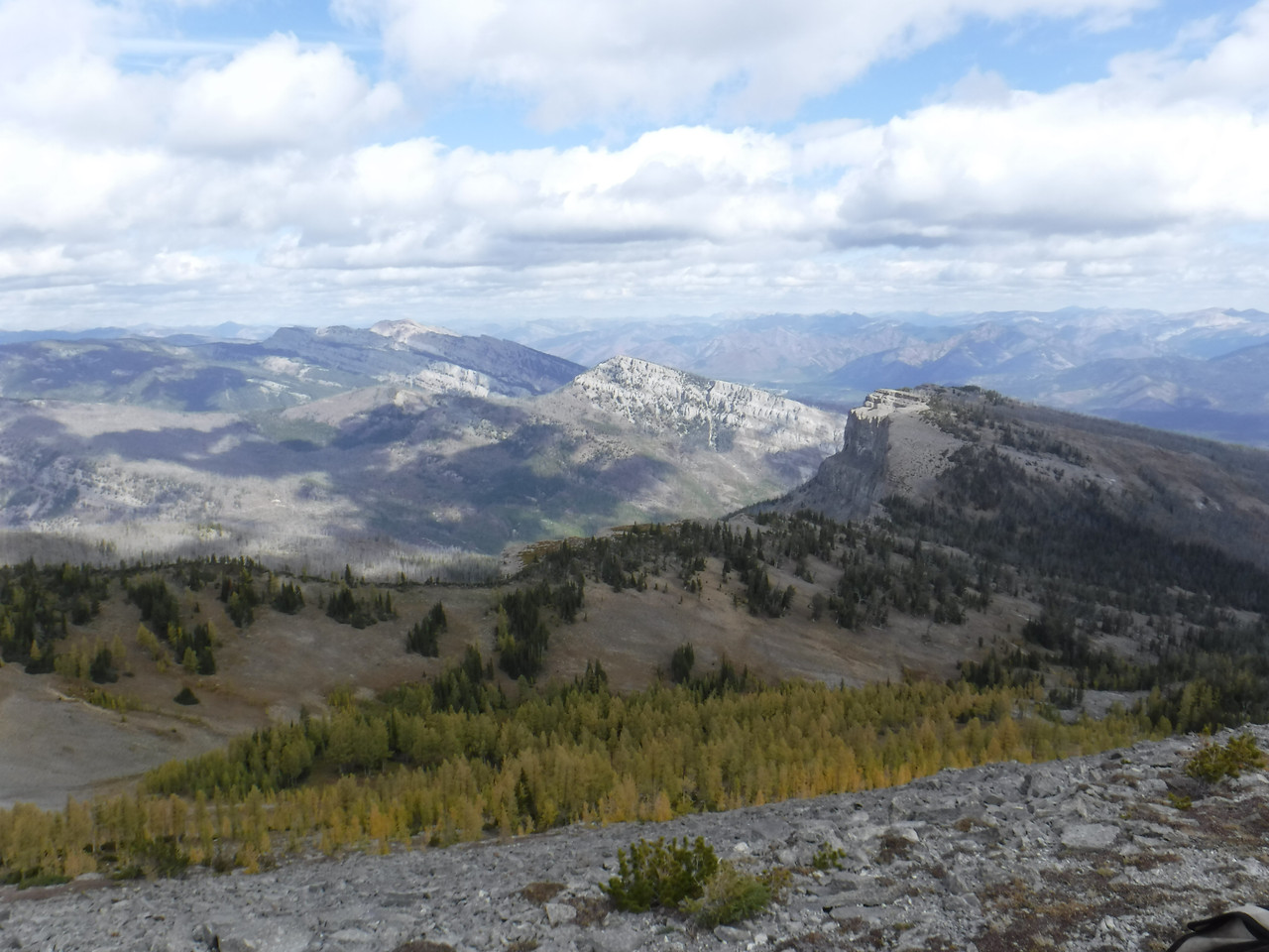 DSCF0078