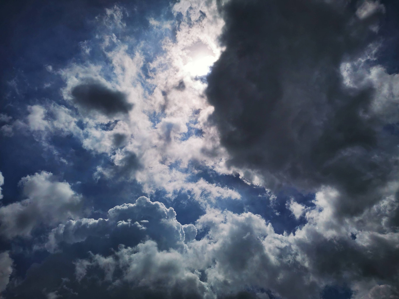 light (12)