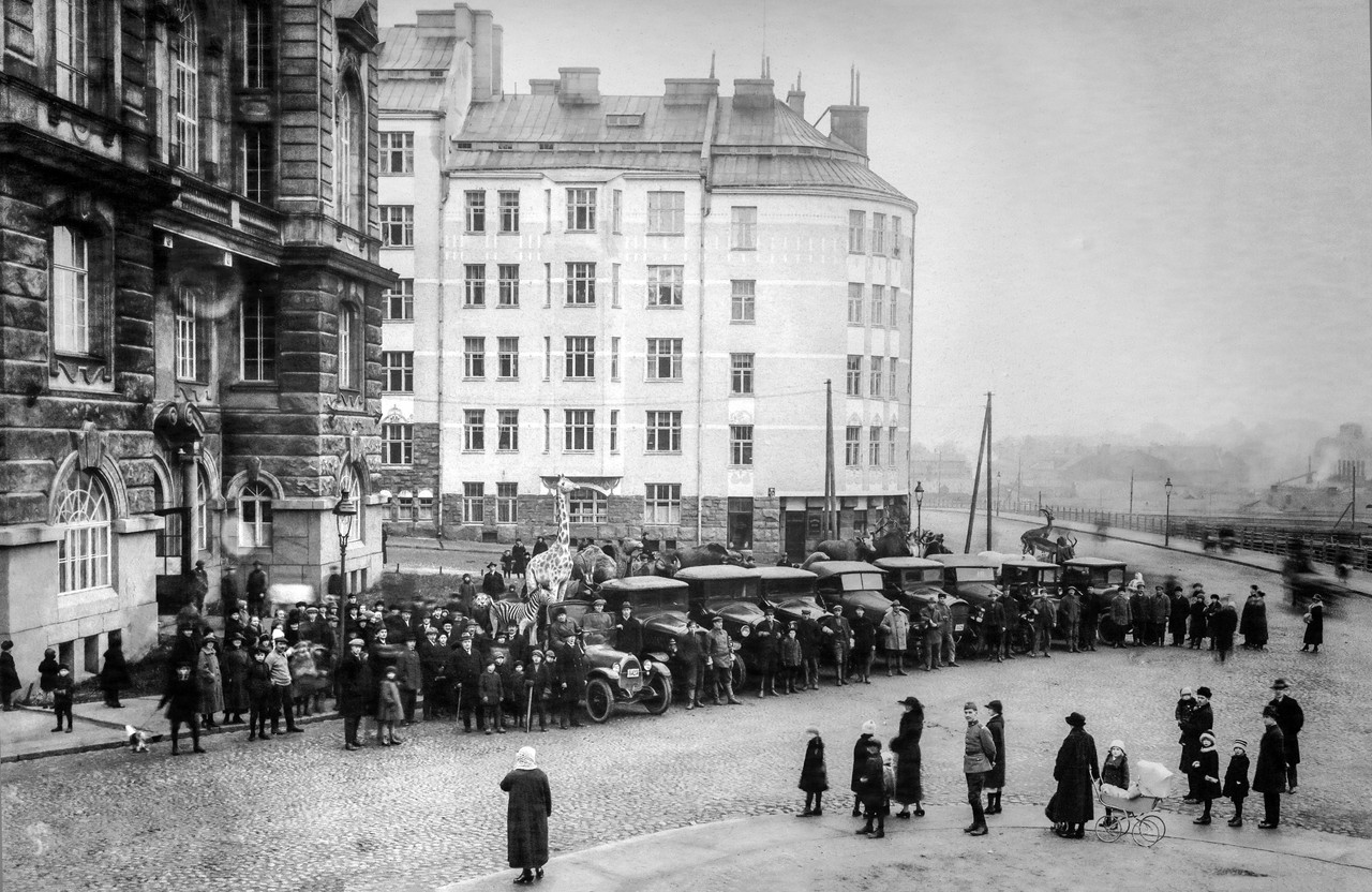 Museo di scienze naturali Trasferimento degli animali alla nuova sede (Helsinki 1923)
