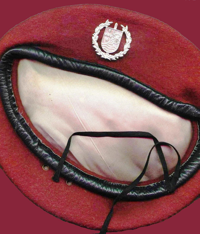 8-Boina-Grenat-dos-GEP