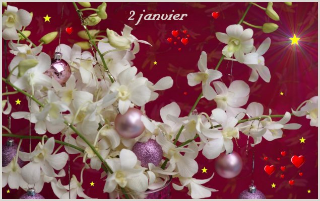 2-janvier.jpg