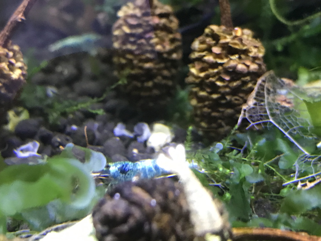 ED49802E-78EE-44EE-9D6B-0409102EBBE0