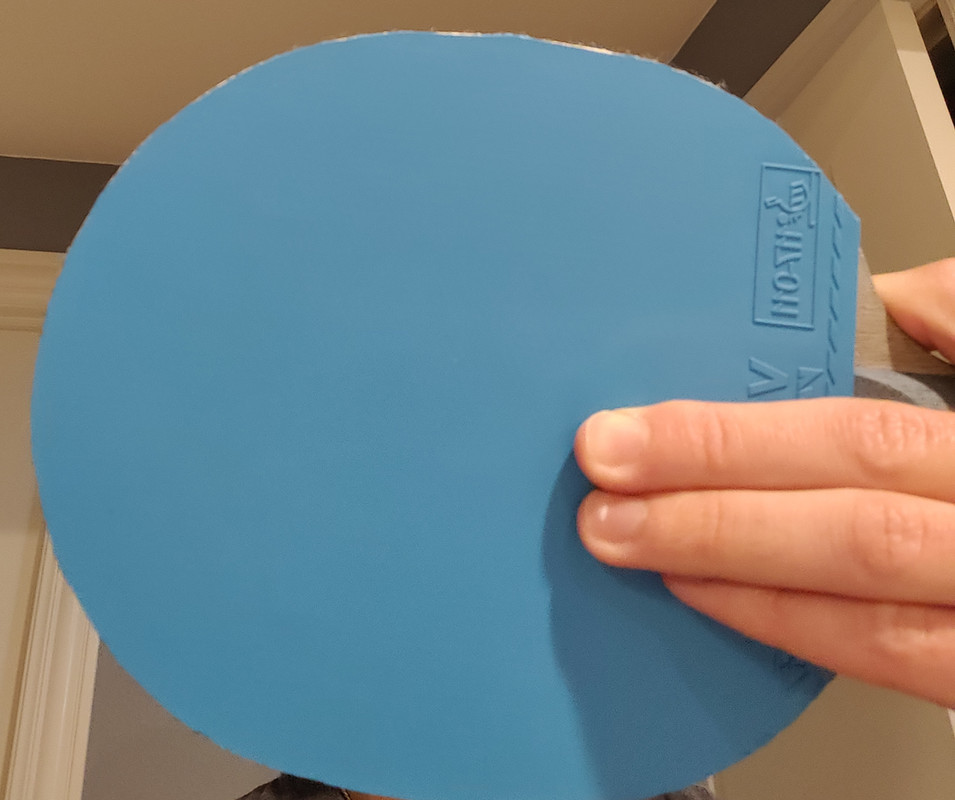 IMG_20220620_172007__01